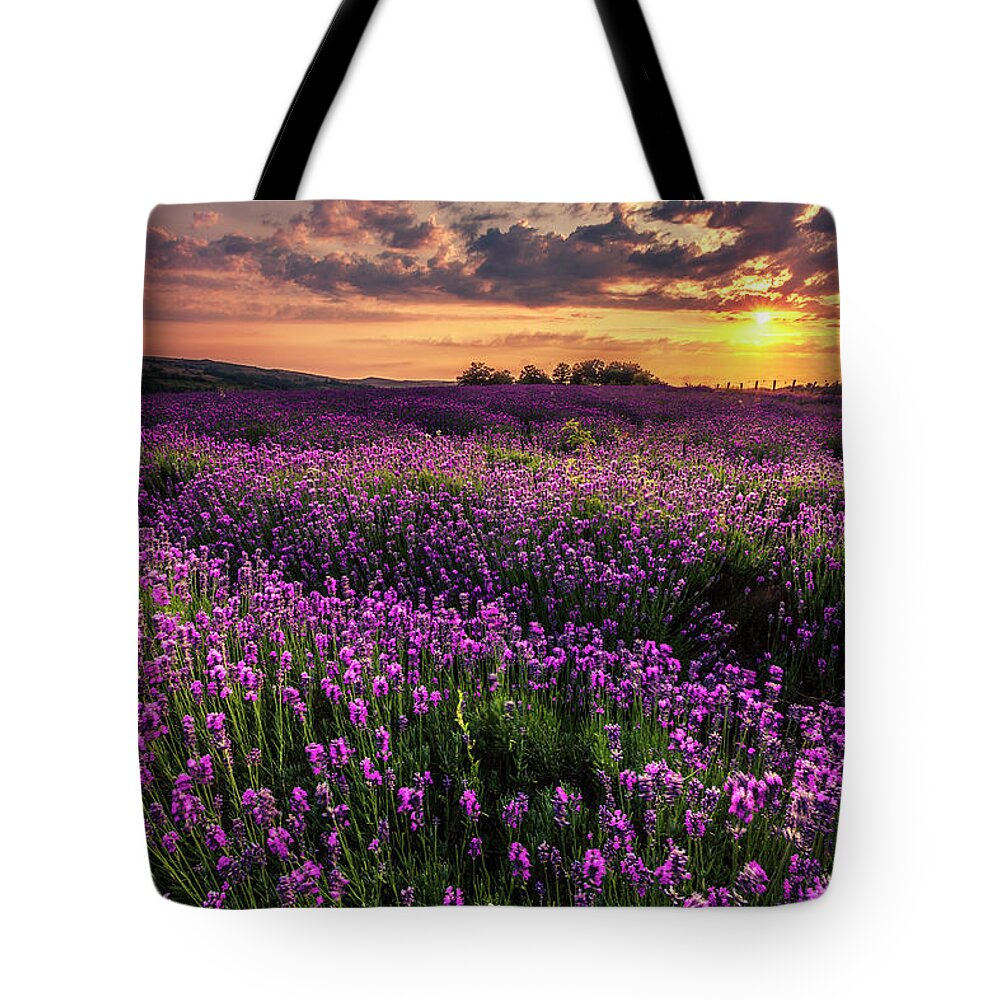 Bulgaria Tote Bag featuring the photograph Purple Sea by Evgeni Dinev
