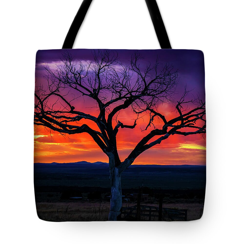 Taos Tote Bag featuring the photograph Purple Sunset with the Taos Tree by Elijah Rael