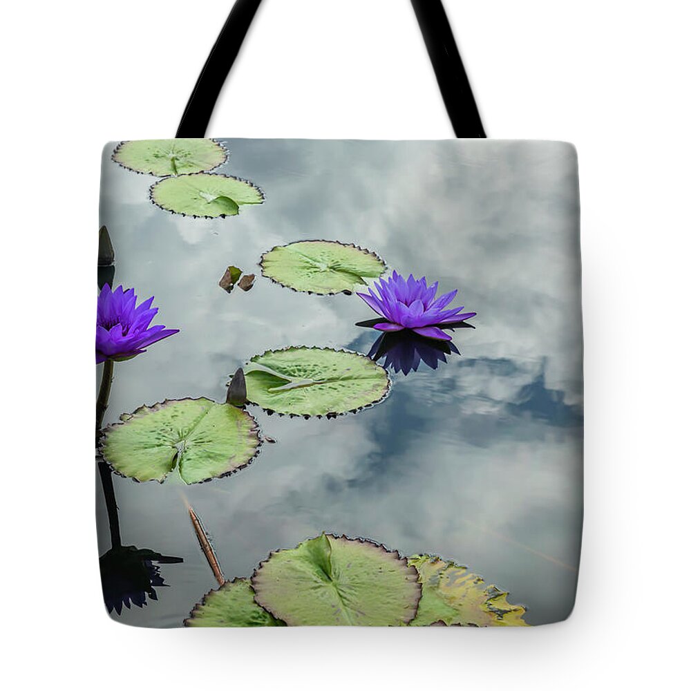 Lily Tote Bag featuring the photograph Purple Water Lilies and Pads by Cate Franklyn