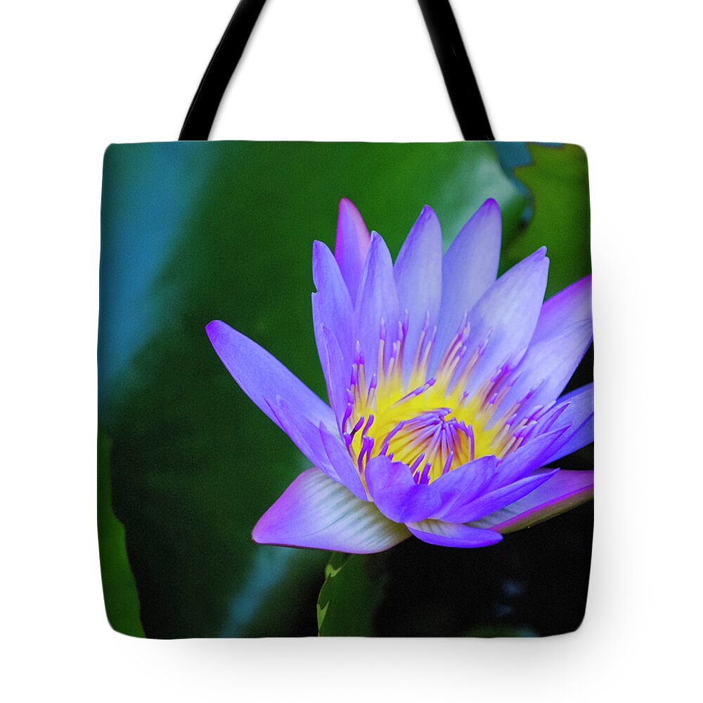 Exotic Flower Tote Bag featuring the photograph Purple Water Lily by Christi Kraft