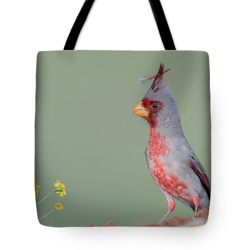 Pyrrhuloxia Tote Bag featuring the photograph Feather in My Cap by Puttaswamy Ravishankar