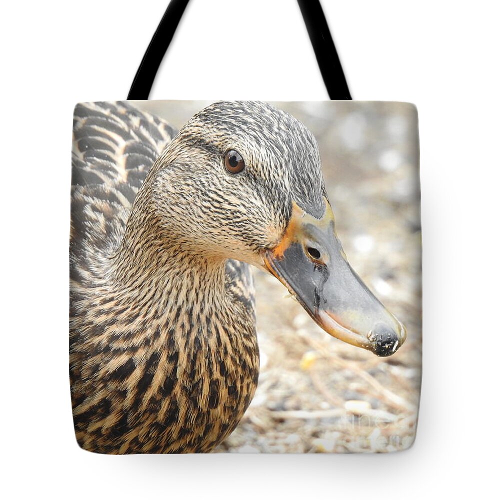 Female Tote Bag featuring the photograph Quack by Eunice Miller