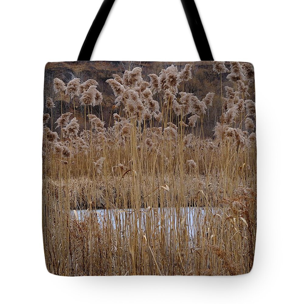 Nature Tote Bag featuring the photograph Quarry Whisps And Pond by Kreddible Trout