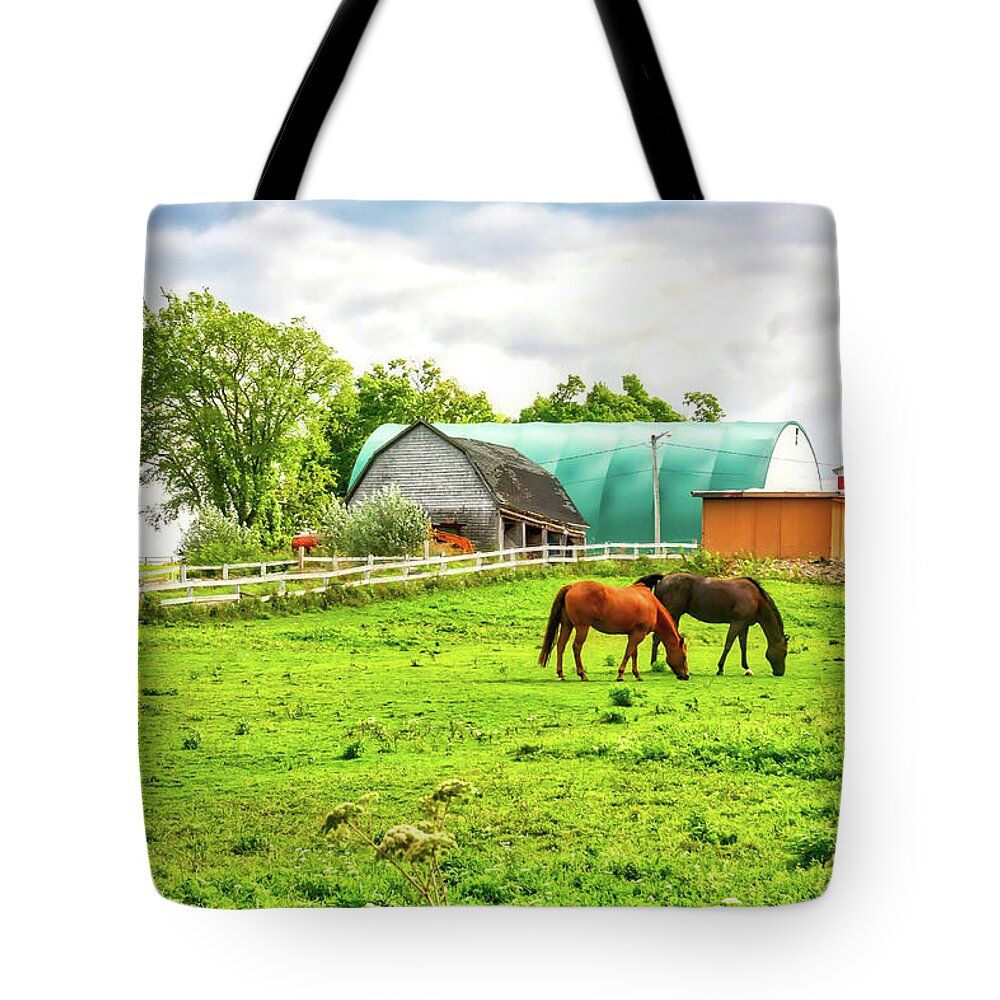 Farm Tote Bag featuring the photograph Quebec farm by Tatiana Travelways