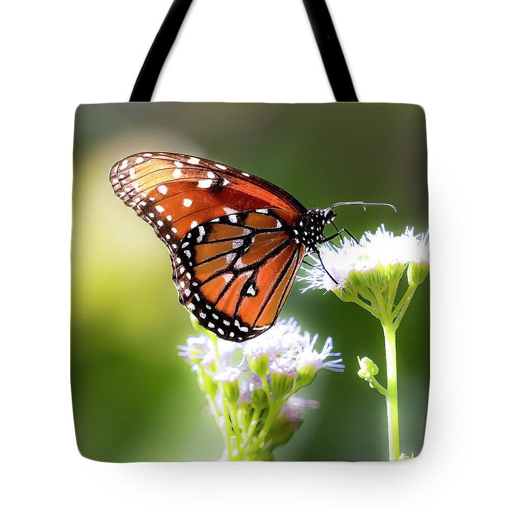 Queen Butterfly Tote Bag featuring the photograph Queen for a Day by Cheri Freeman