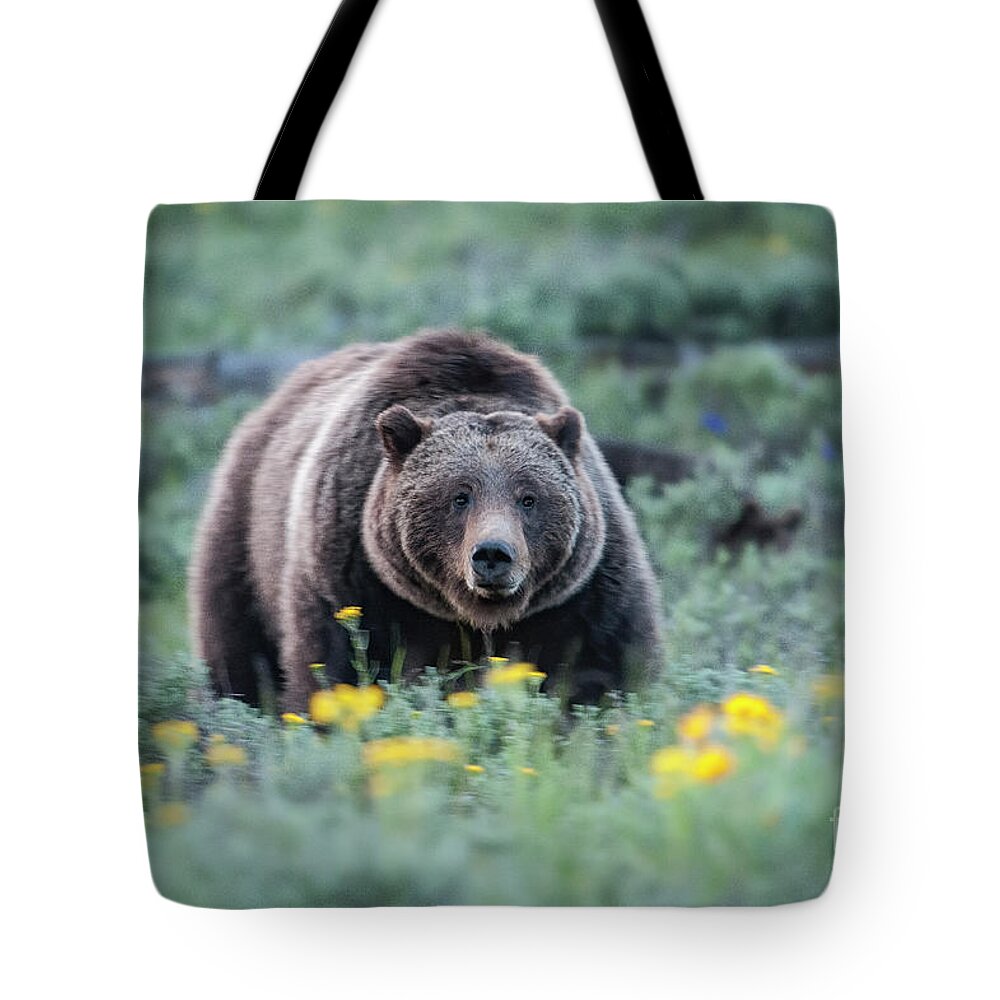 Wildlife Tote Bag featuring the photograph Queen of the Tetons - 399 by Sandra Bronstein