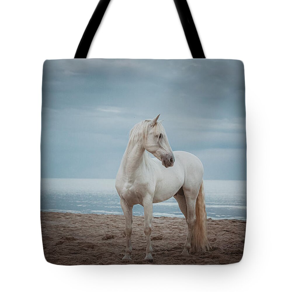 Photographs Tote Bag featuring the photograph Quiet Storm - Horse Art by Lisa Saint