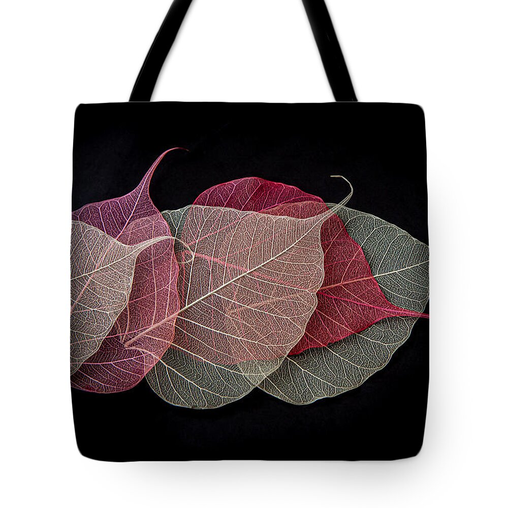 Still Life Tote Bag featuring the photograph Quintet of Leaves with Signature by Maggie Terlecki