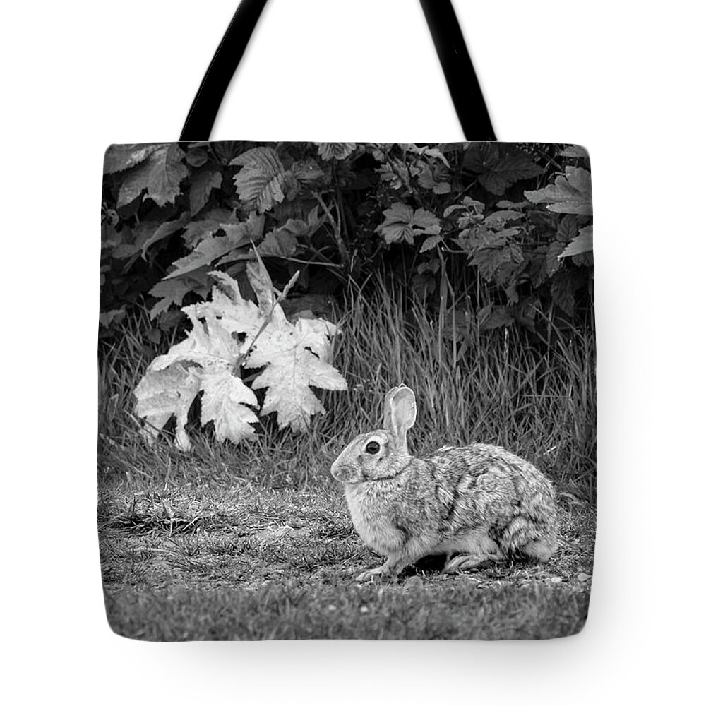 Wild Animal Tote Bag featuring the photograph Rabbit and Leaves by Mary Lee Dereske