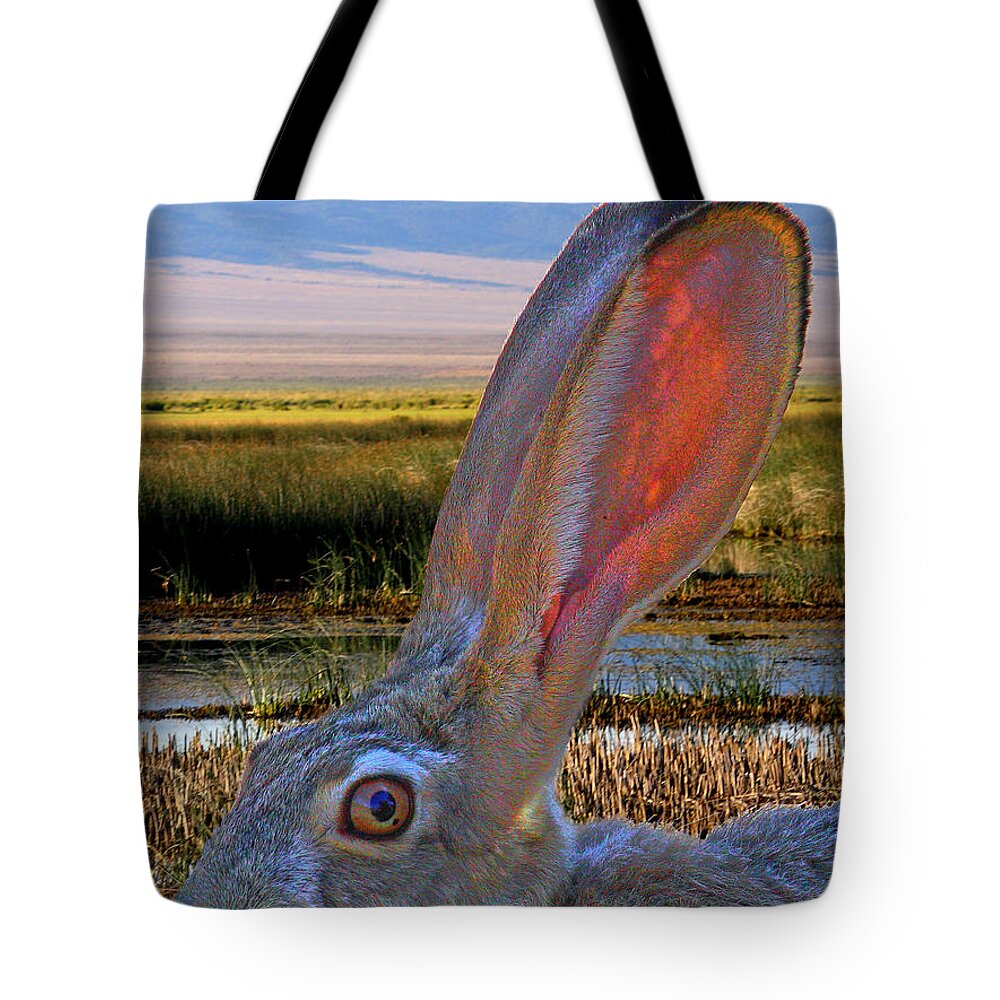 Black-tail Jackrabbit Tote Bag featuring the photograph Rabbit in Marsh by Stephanie Salter