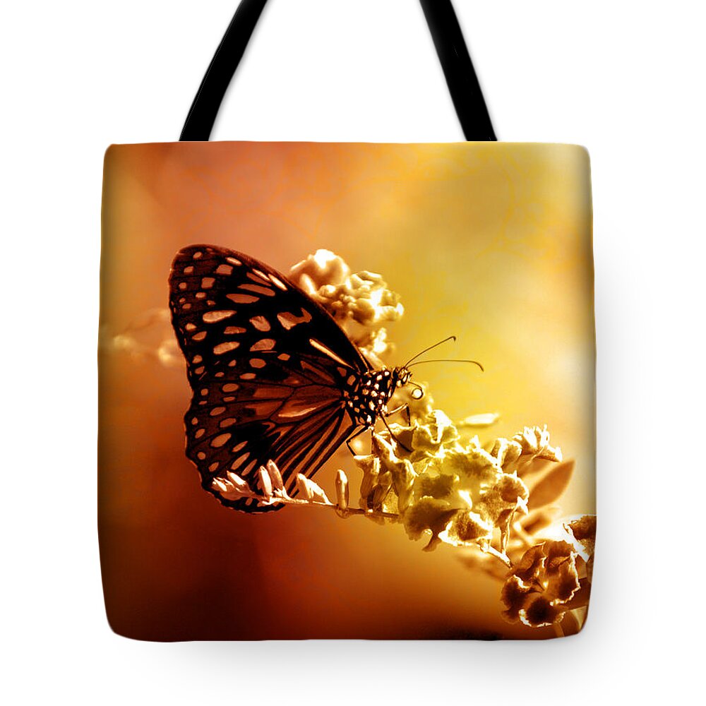 Butterfly Tote Bag featuring the photograph Radiance by Holly Kempe