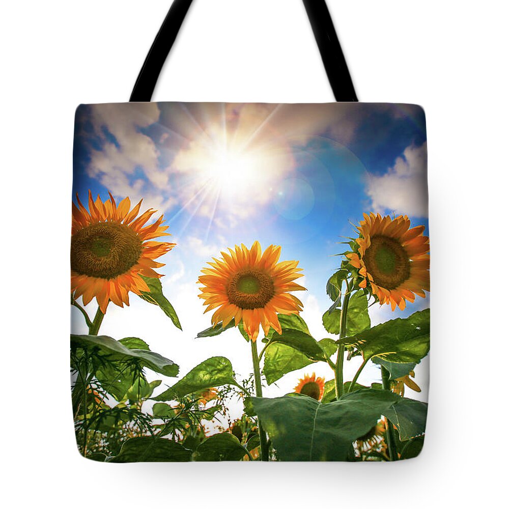  Tote Bag featuring the photograph Radiant Sunflowers by Nicole Engstrom