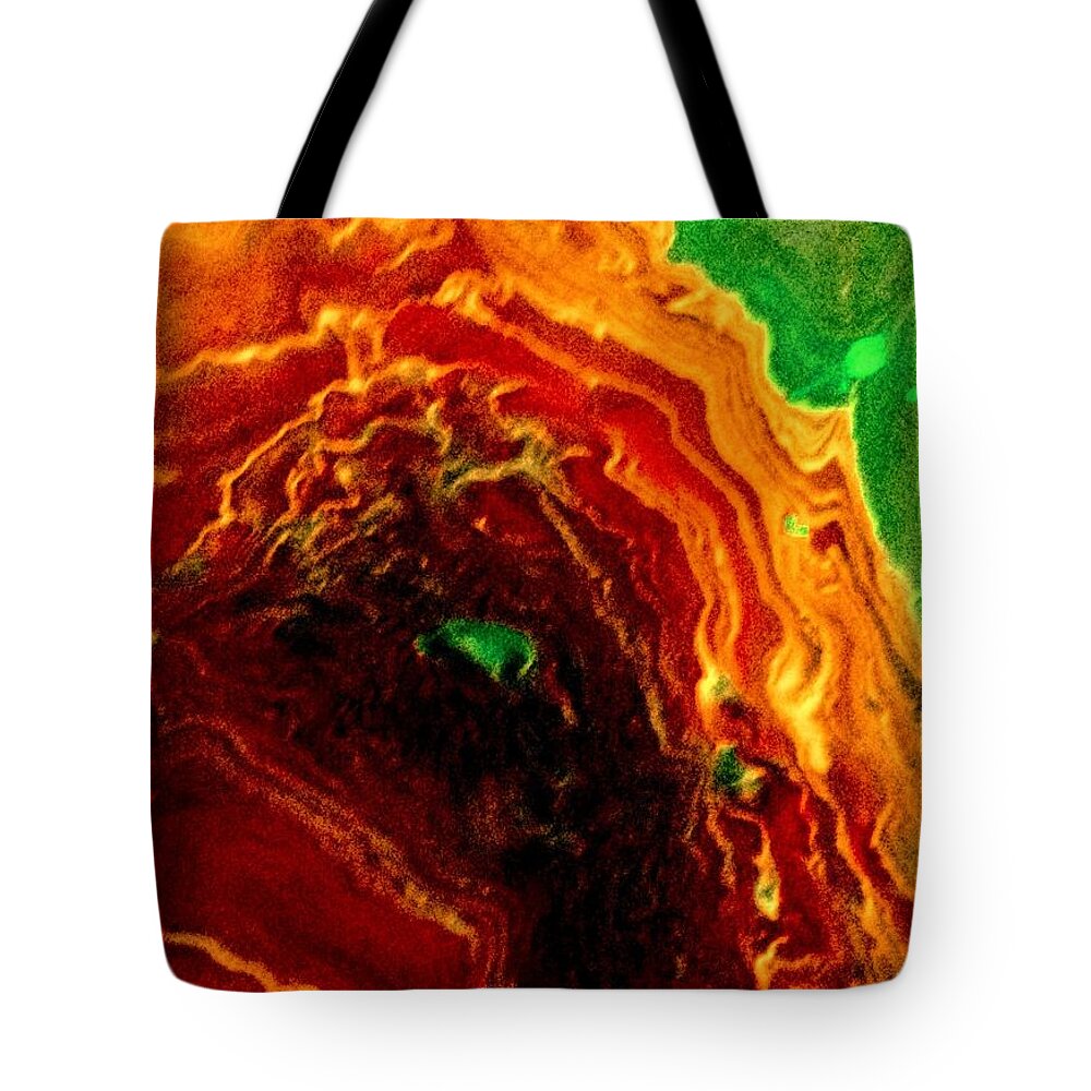 Fire Tote Bag featuring the painting Raging Inferno by Anna Adams