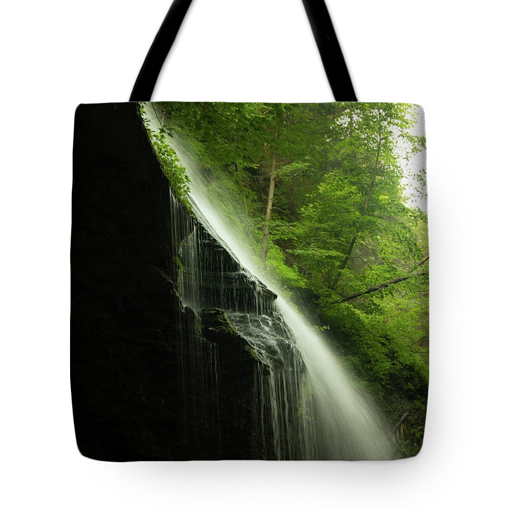 Rainbow Falls Tote Bag featuring the photograph Rainbow Falls by Laurie Lago Rispoli