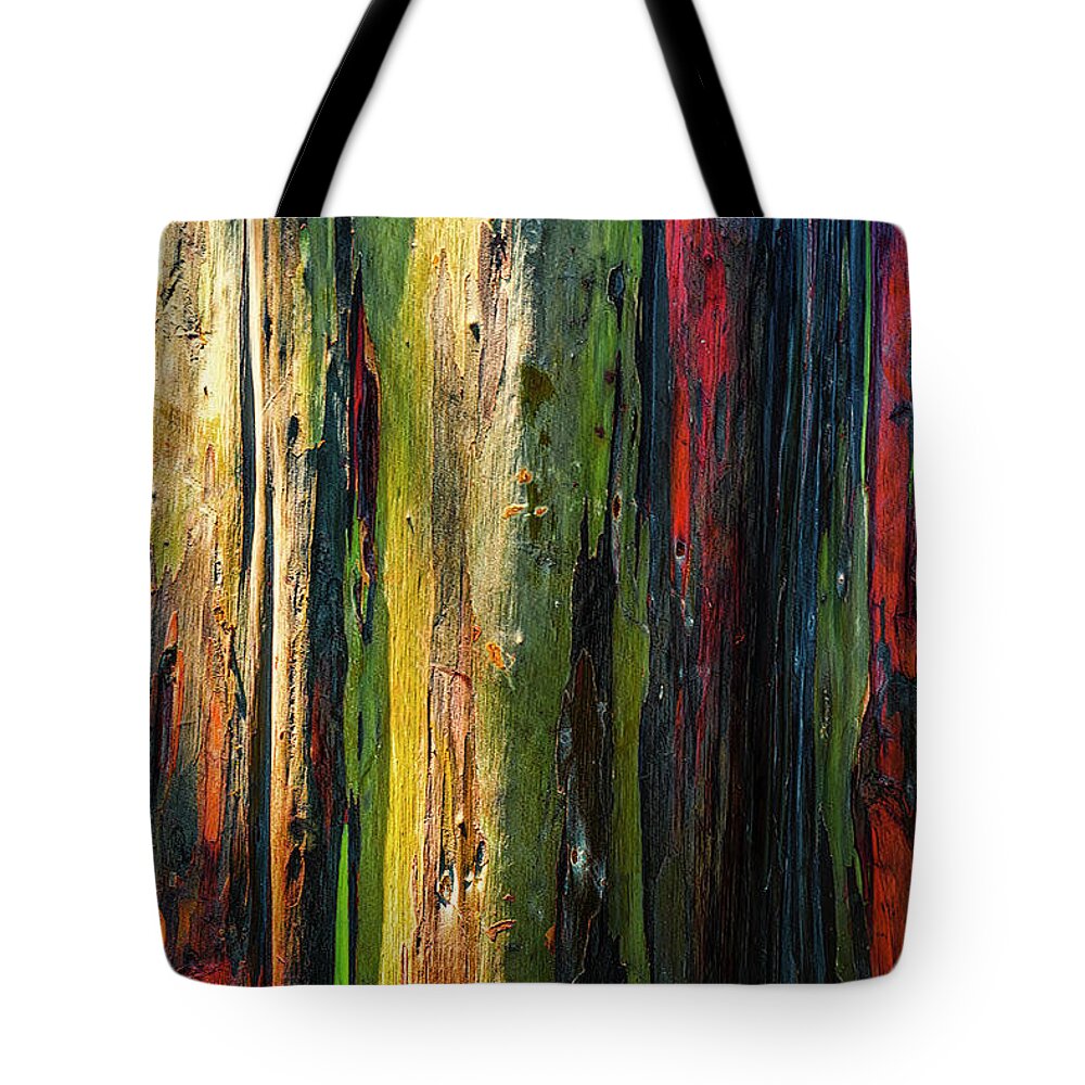 Rainbow Tote Bag featuring the photograph Rainbow Grove by Ryan Manuel