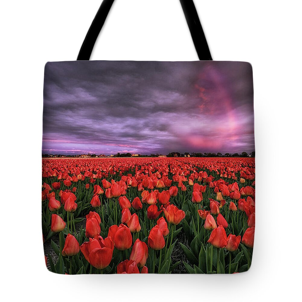 Landscape Tote Bag featuring the photograph Rainbow by Jorge Maia