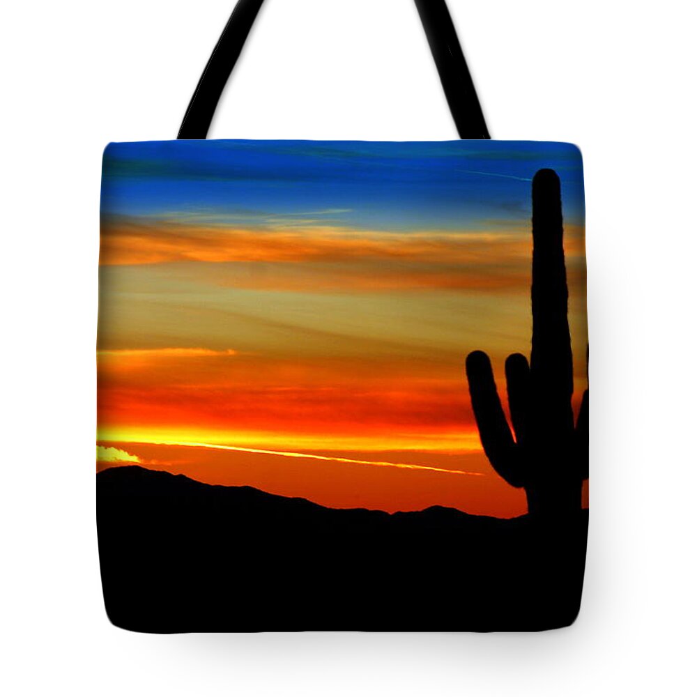 Rainbow Tote Bag featuring the photograph Rainbow Saguaro by Gene Taylor