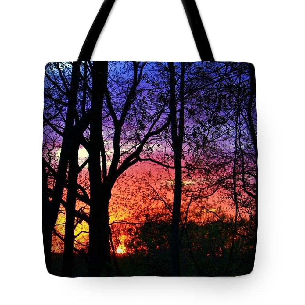 Landscape Tote Bag featuring the photograph Rainbow Sunset by Mary Walchuck
