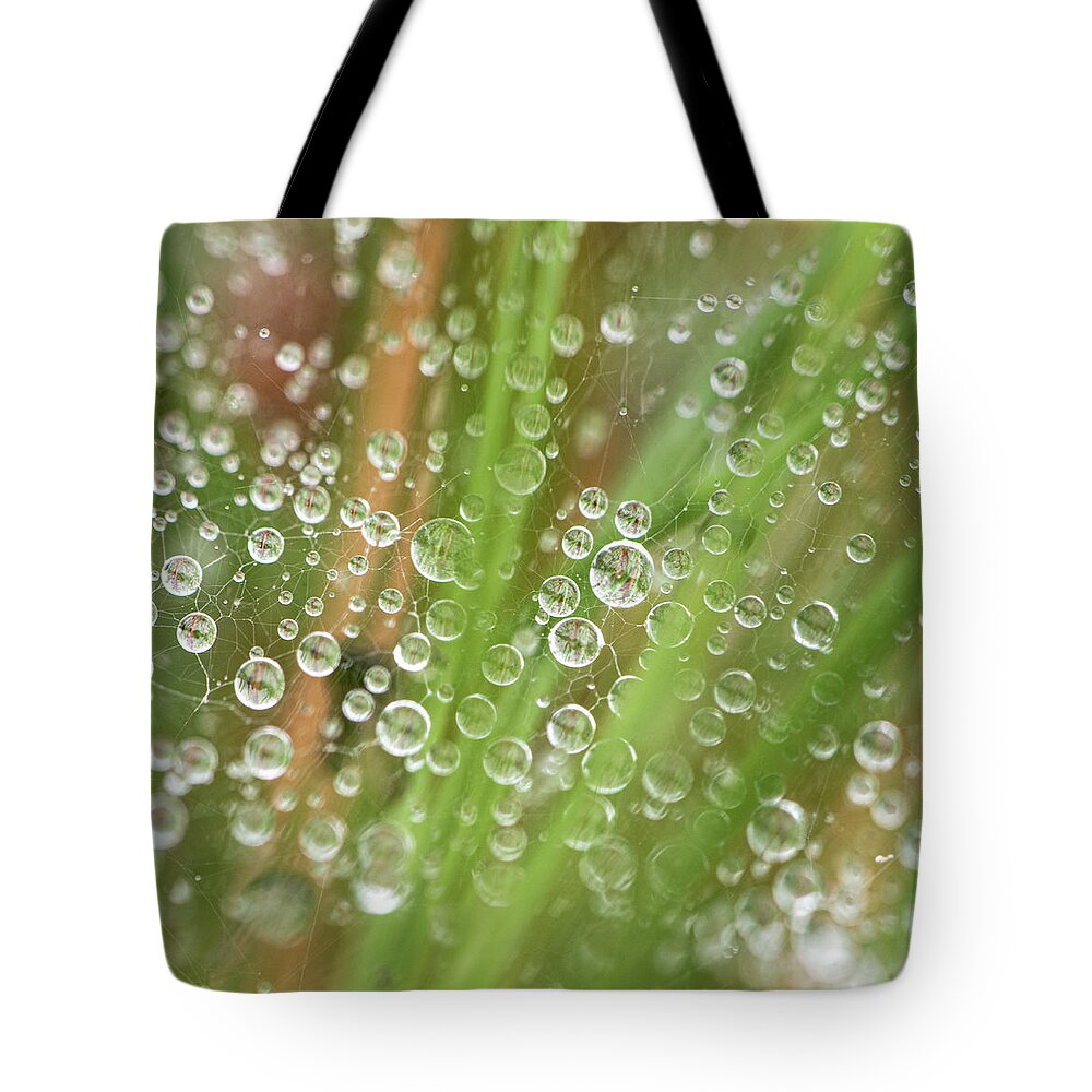 Rain Tote Bag featuring the photograph Raindrops On A Web Net by Karen Rispin