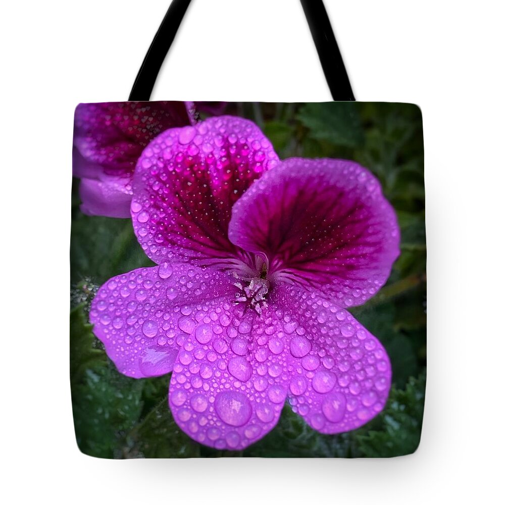 Purple Tote Bag featuring the photograph Raindrops on Purple Geranium by Jerry Abbott