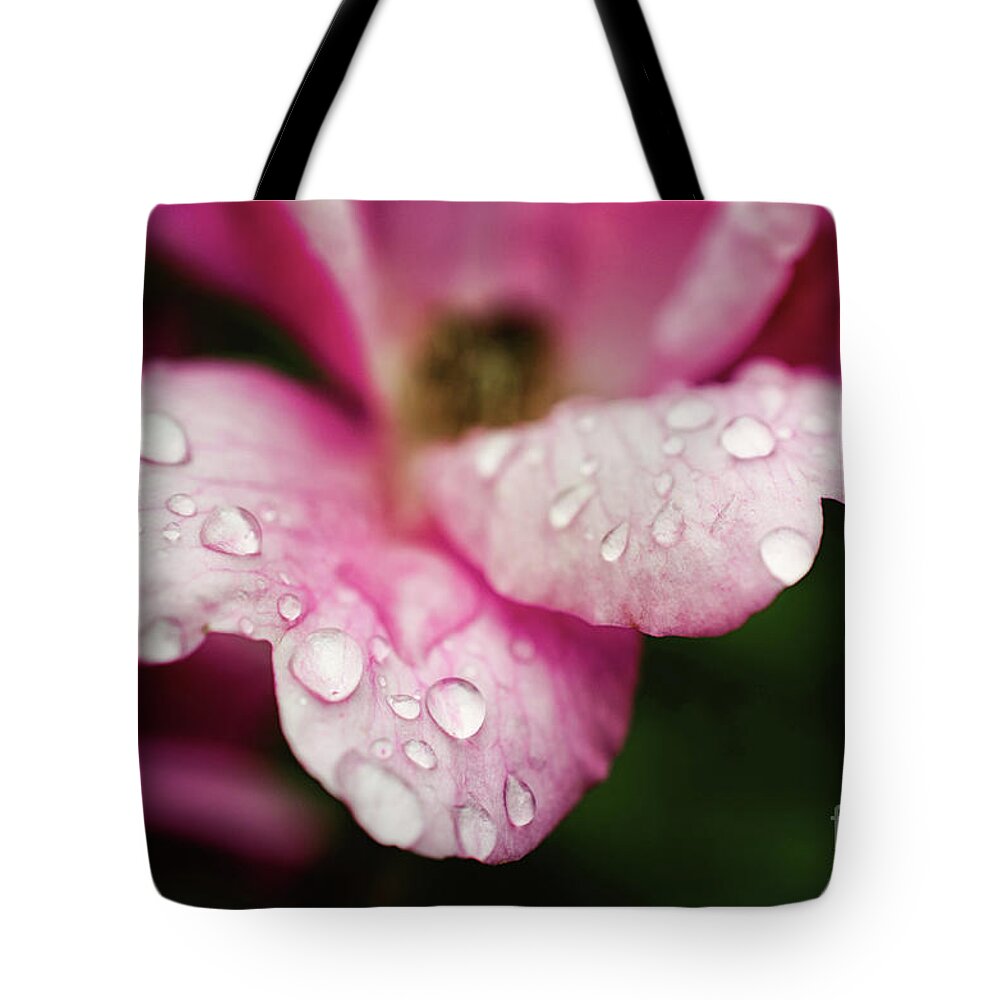 Rose Tote Bag featuring the digital art Raindrops on Wild Pink Rose / Botanical / Floral / Nature Photograph by PIPA Fine Art - Simply Solid