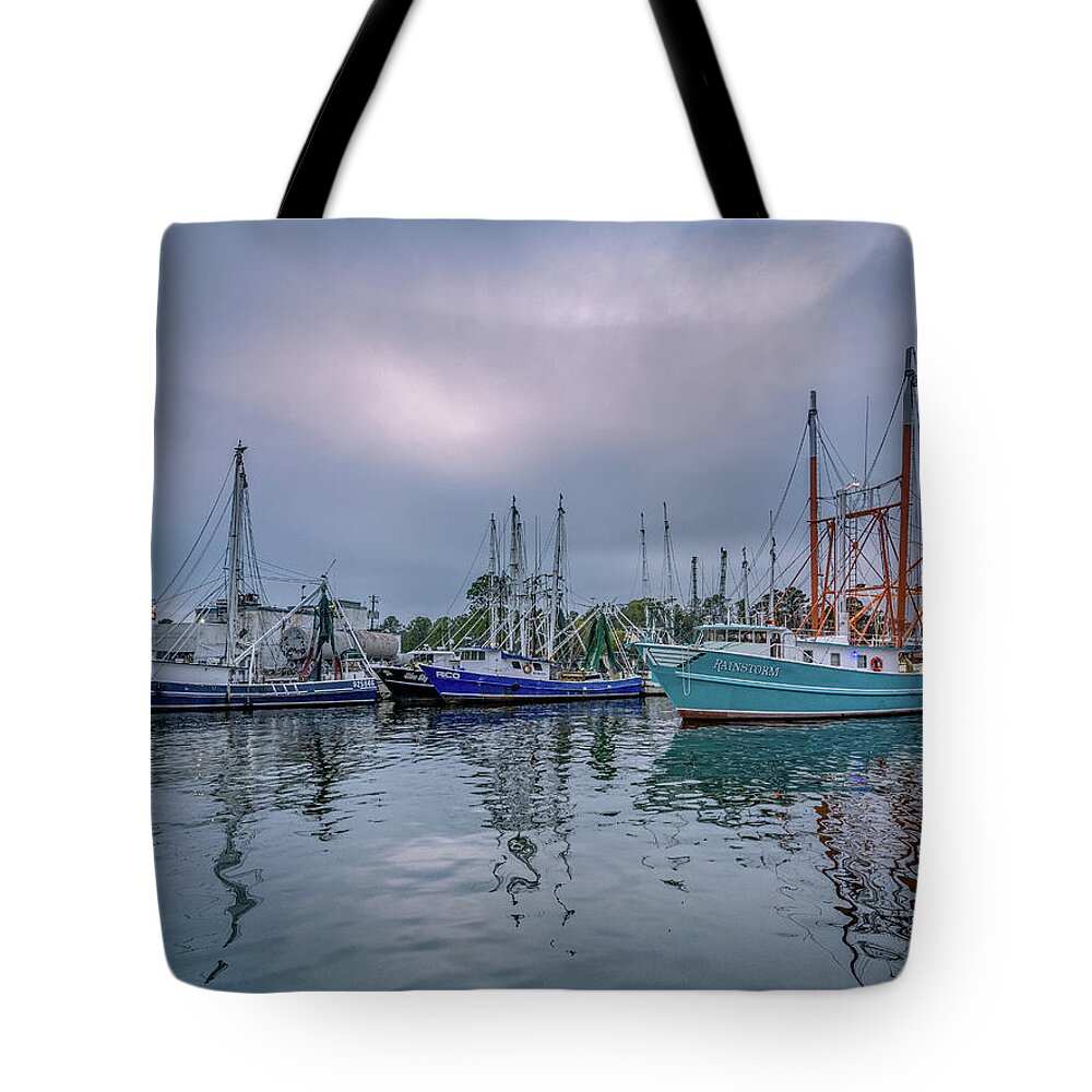 Bayou Tote Bag featuring the photograph Rainstorm, 1/24/21 by Brad Boland