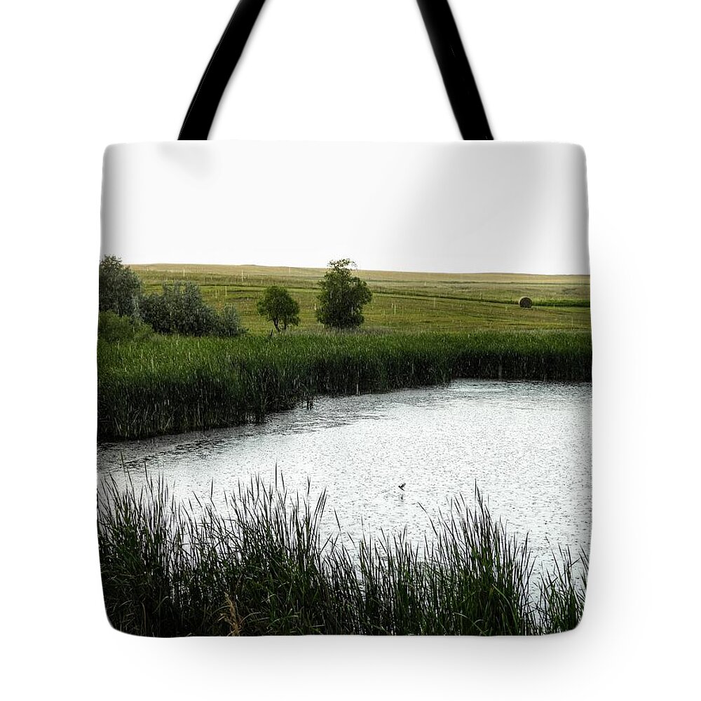 Pond Tote Bag featuring the photograph Rainy Pond by Amanda R Wright