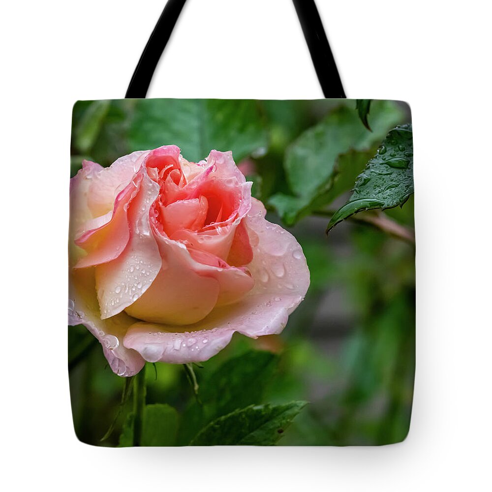 Rose Tote Bag featuring the photograph Rainy Rose by Cathy Kovarik