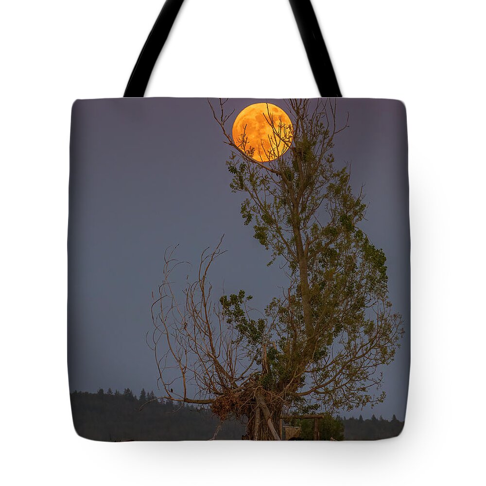 Lassen Tote Bag featuring the photograph Ranch Moon by Mike Lee