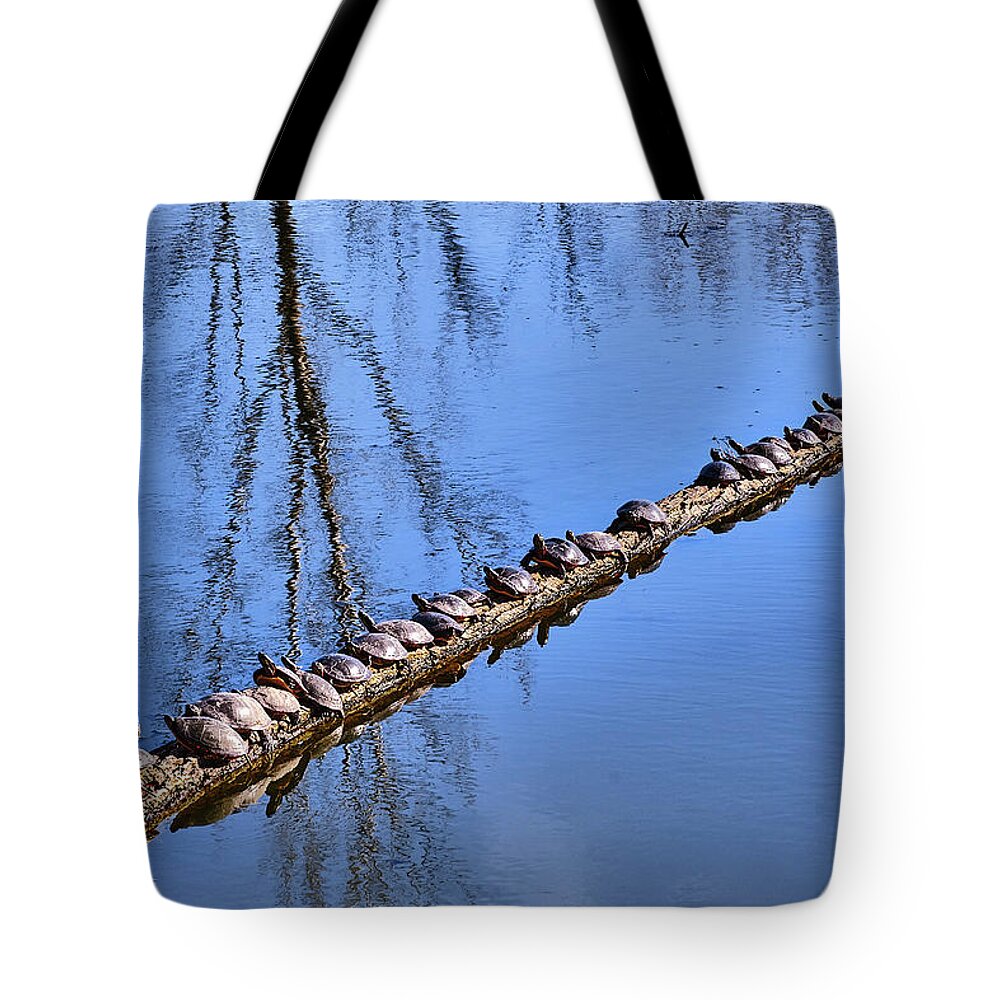 Faune Tote Bag featuring the photograph Ranked turtles by Carl Marceau