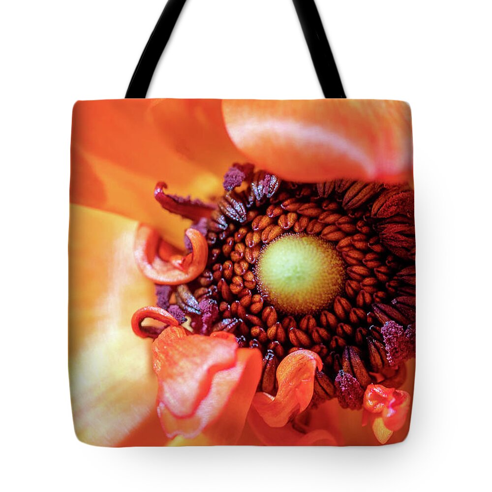 Ranunculus Tote Bag featuring the photograph Ranunculus Center by Rebecca Cozart