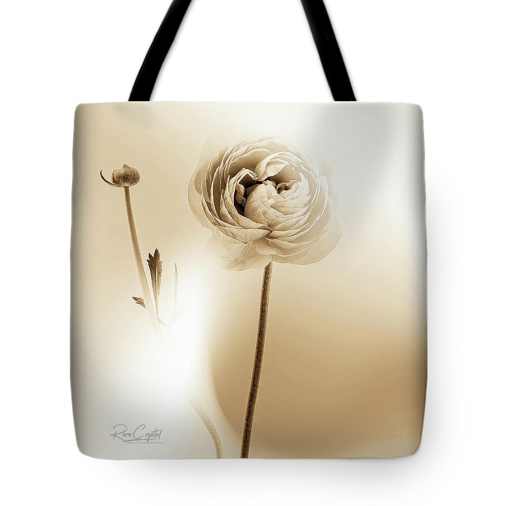 Ranunculus Tote Bag featuring the photograph Ranunculus On The Square by Rene Crystal