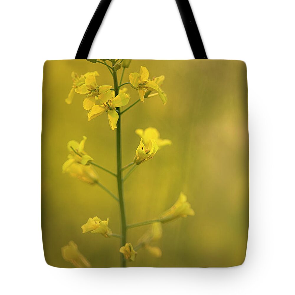 Rapeseed Tote Bag featuring the photograph Rapeseed flowers by Karen Rispin
