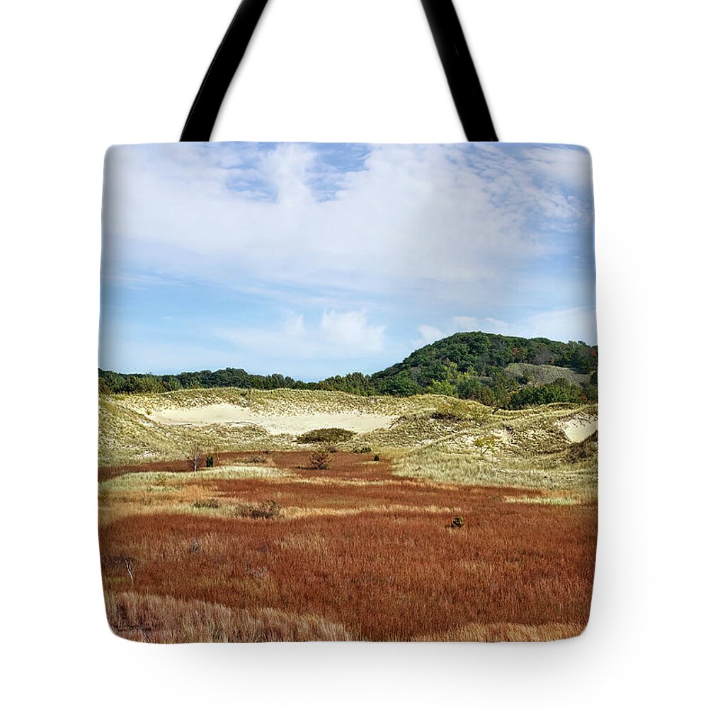 Lake Michigan Tote Bag featuring the photograph Rare Ecosystem by Kathi Mirto