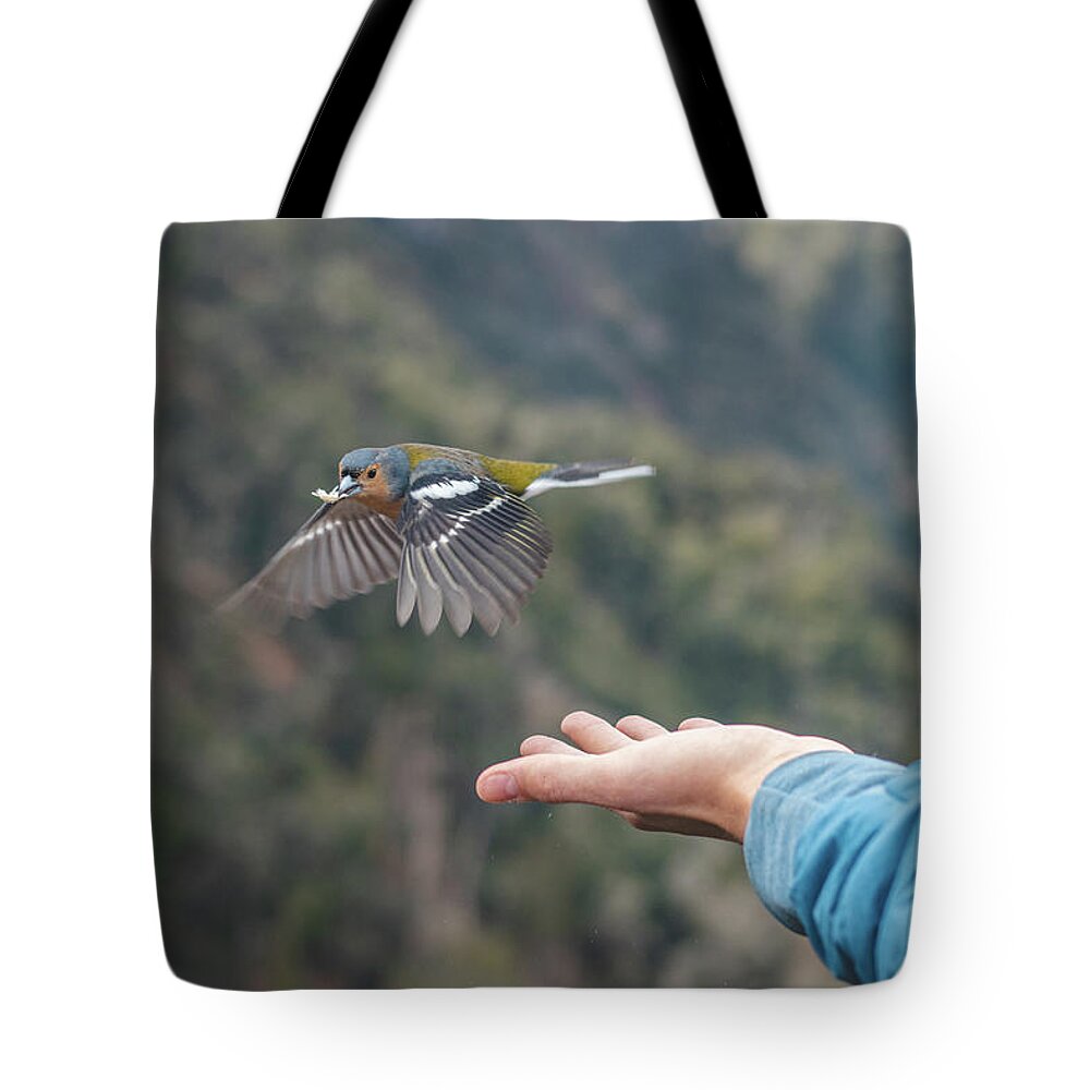 Balcoes Viewpoint Tote Bag featuring the photograph Bird thief on Madeira by Vaclav Sonnek