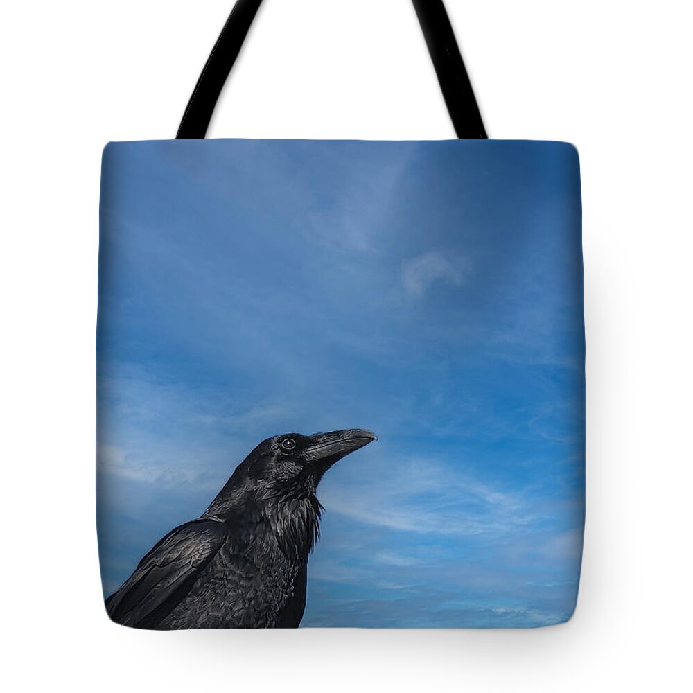 Raven Tote Bag featuring the photograph Raven Portrait by Laura Putman