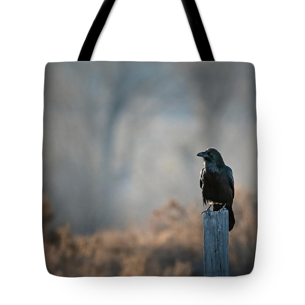 Raven Tote Bag featuring the photograph Raven by Rick Mosher