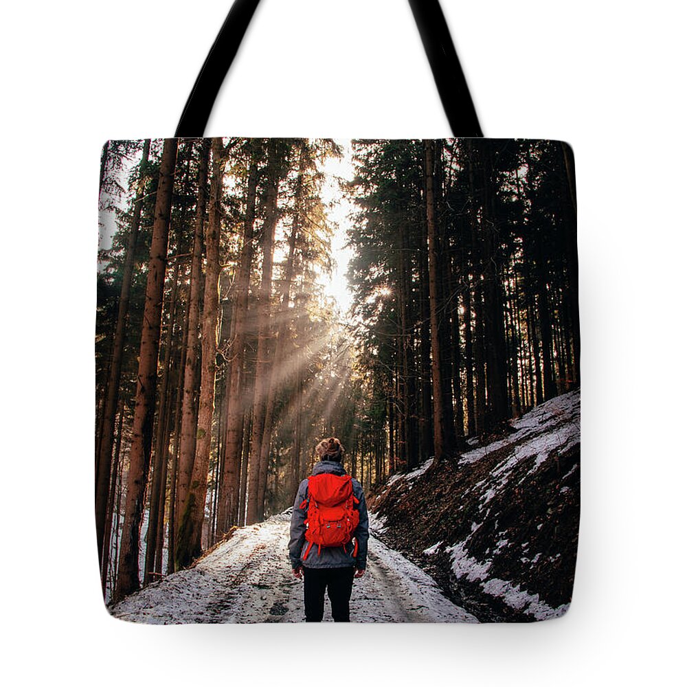 Explorer Tote Bag featuring the photograph Rays of the sun streak through the forest by Vaclav Sonnek