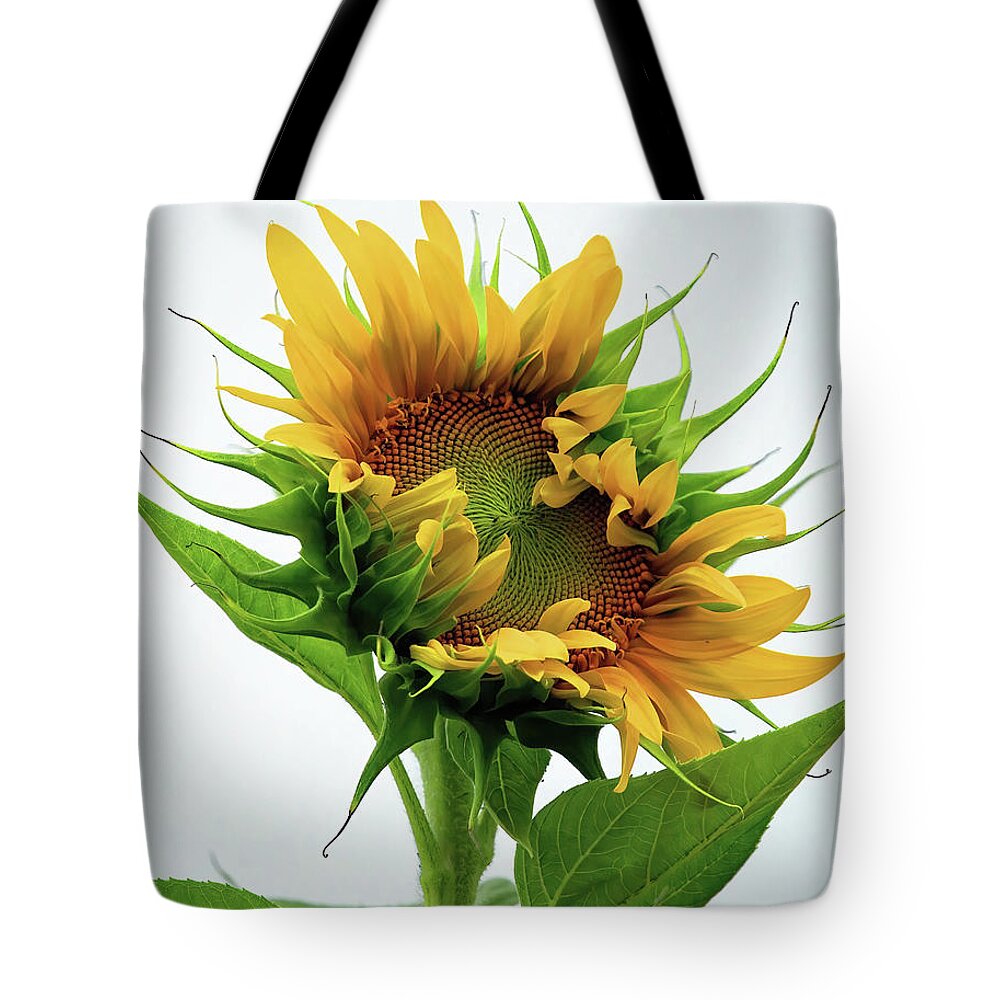 Summer Tote Bag featuring the photograph Reach for the Sky by Gina Fitzhugh