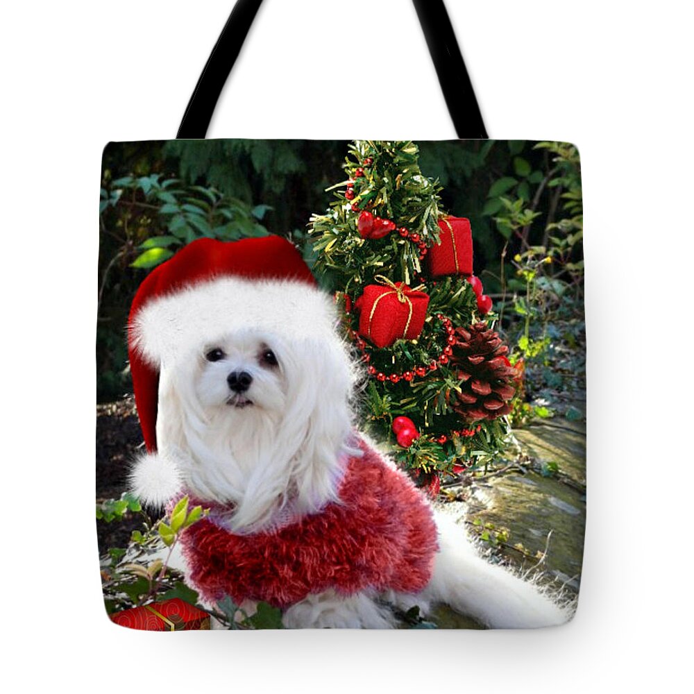 Maltese Dog Christmas Tote Bag featuring the mixed media Ready for Christmas by Morag Bates