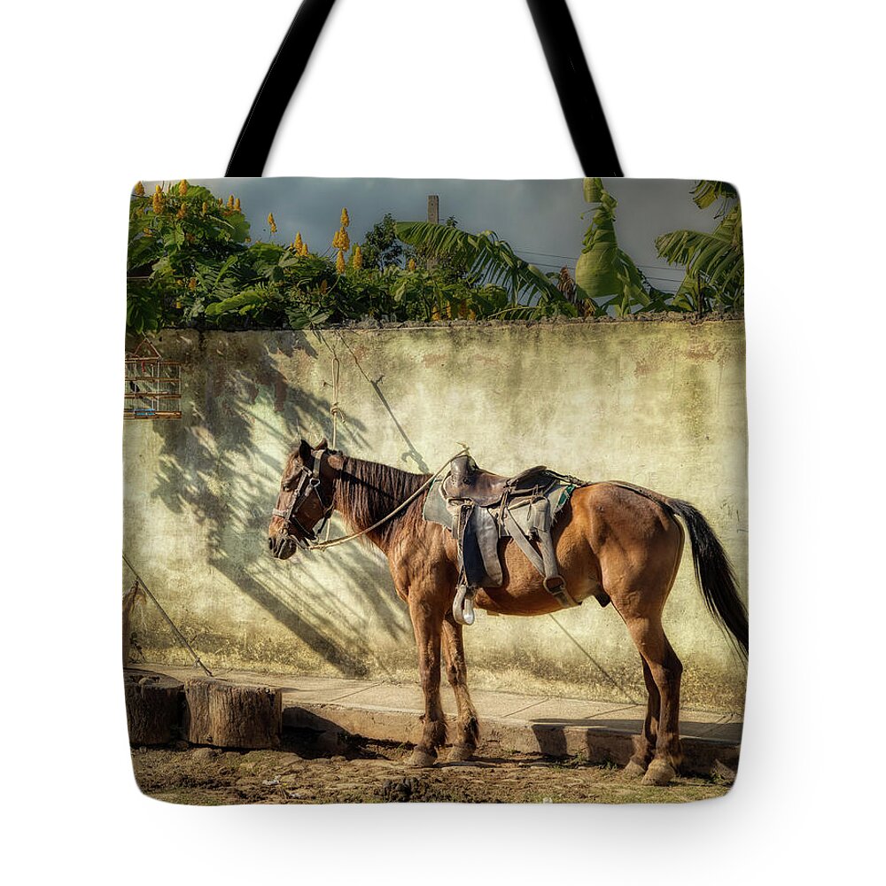 Horse Tote Bag featuring the photograph Reckless friendship by Micah Offman