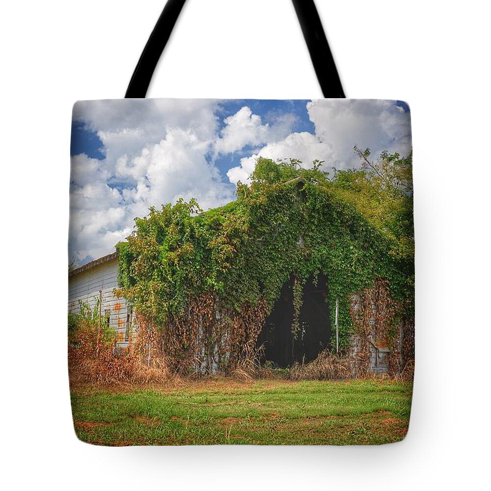 Derelict Tote Bag featuring the photograph Reclaimed by DArcy Evans