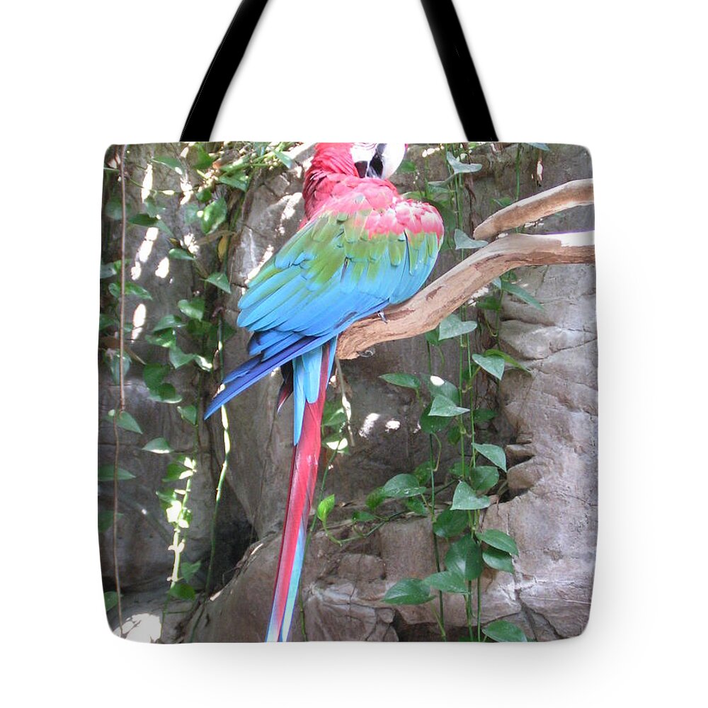 Taken At The Audubon Zoo In New Orleans Tote Bag featuring the photograph Red and Green Macaw by Heather E Harman
