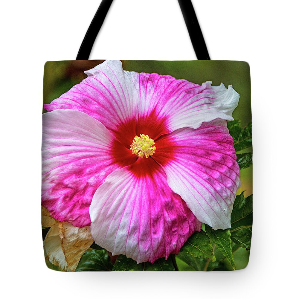Red And White Flower 2 1052020 1074 Tote Bag featuring the photograph Red And White Flower 2 1052020 1074 by David Frederick
