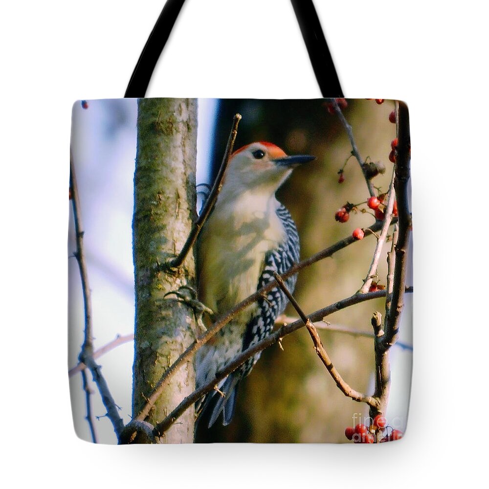 Red-bellied Woodpecker Tote Bag featuring the photograph Red-Bellied Woodpecker with Berries by Sea Change Vibes
