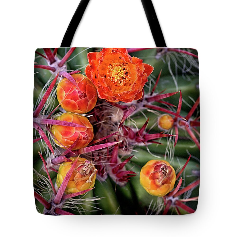 Cactus Tote Bag featuring the photograph Red Cactus Blossoms by Bob Falcone