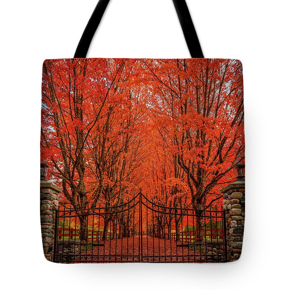Fall Tote Bag featuring the photograph Red Canopy by Dan Mihai