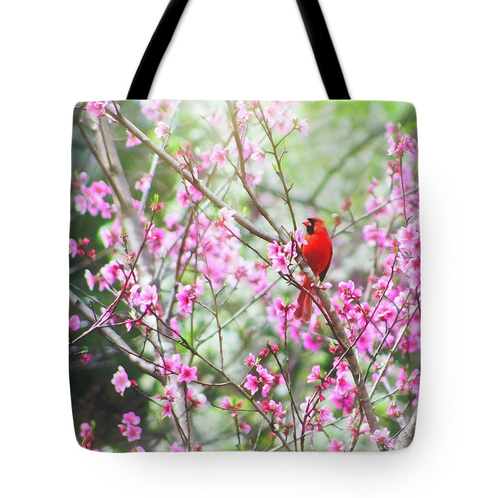 Male Cardinal Tote Bag featuring the photograph Red Cardinal Perched In Pink Flowers by Laura Vilandre