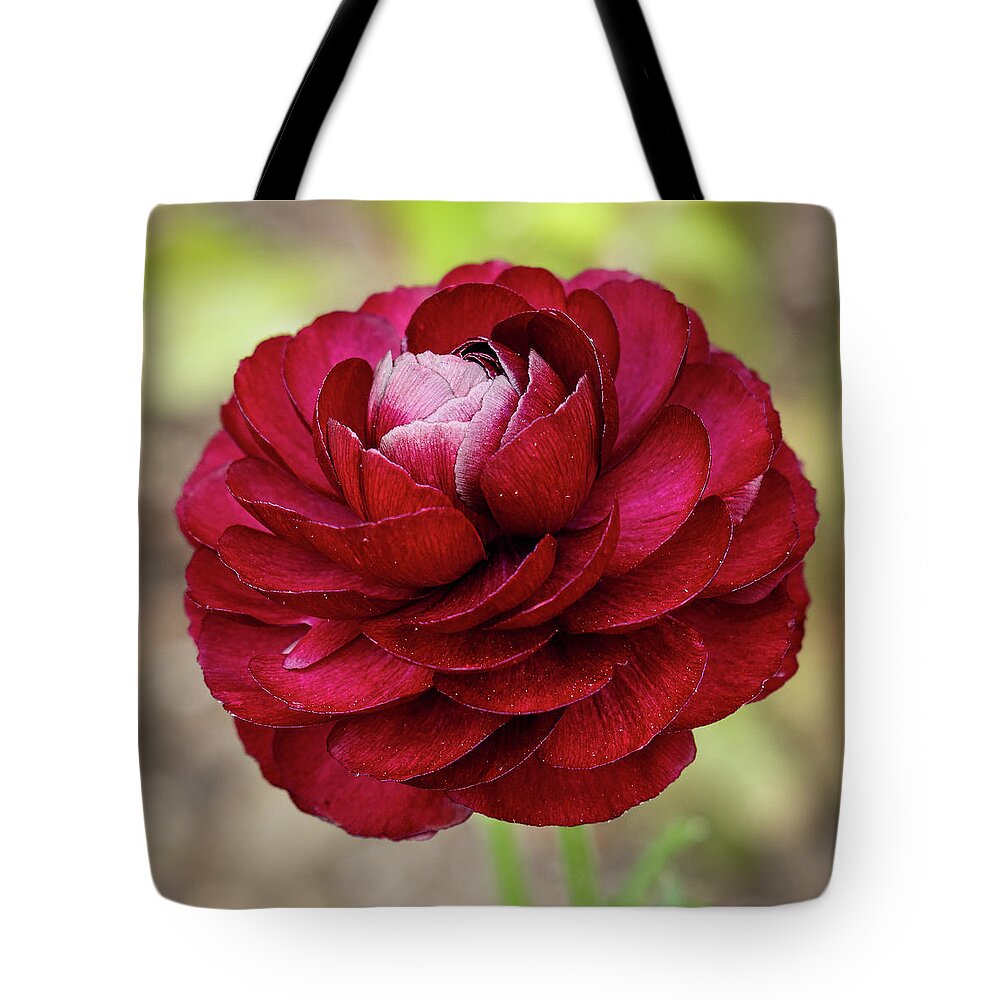 Red Tote Bag featuring the photograph Red Dahlia by Allin Sorenson