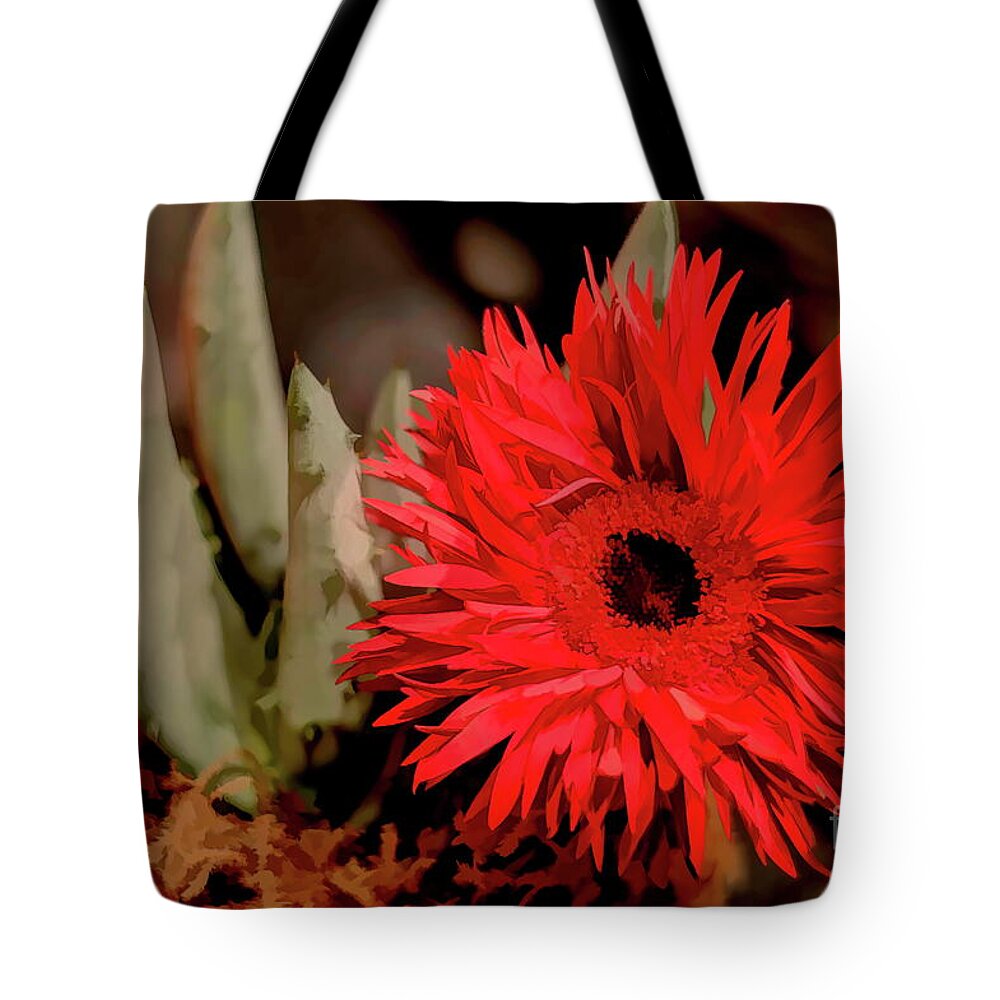 Daisy Tote Bag featuring the photograph Red Daisy and The Cactus by Diana Mary Sharpton